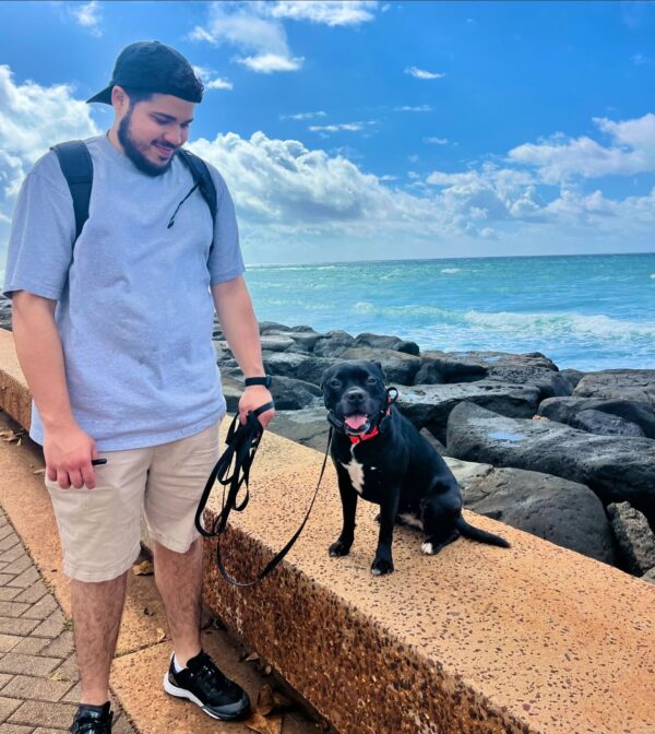 can a dog trainer help with aggressive behavior 